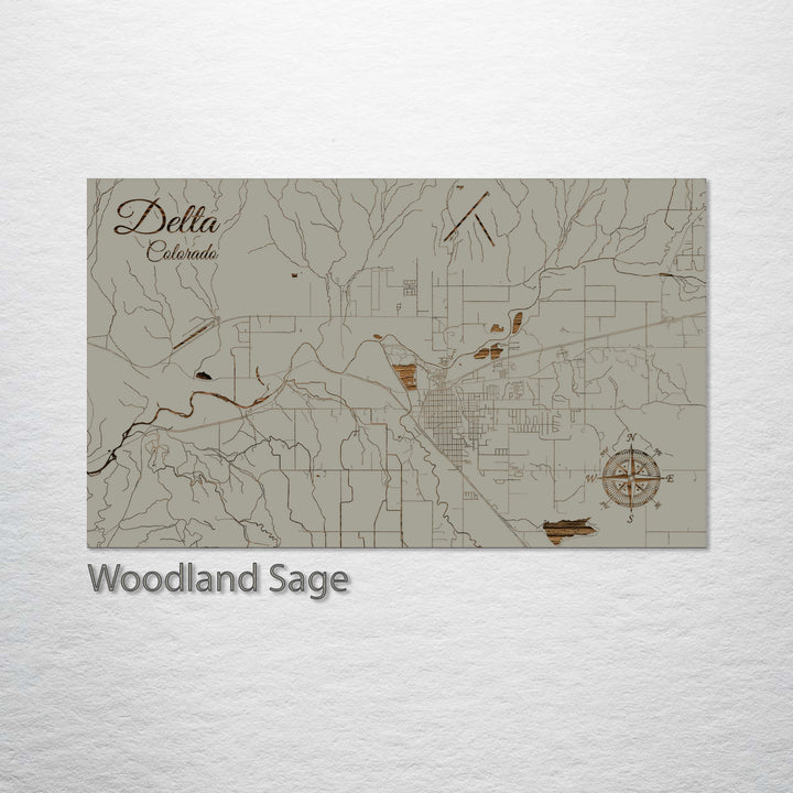 Delta, Colorado Street Map