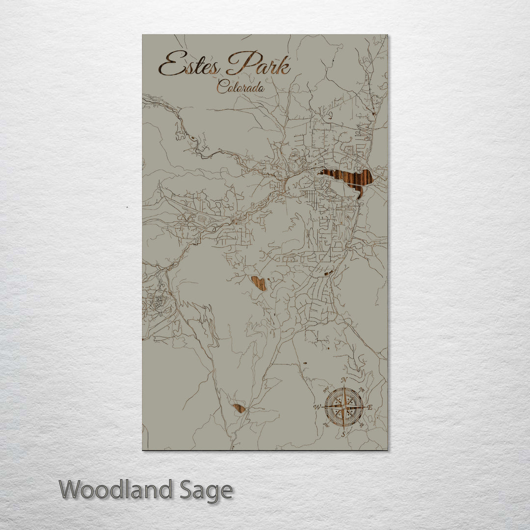 Estes Park, Colorado Street Map