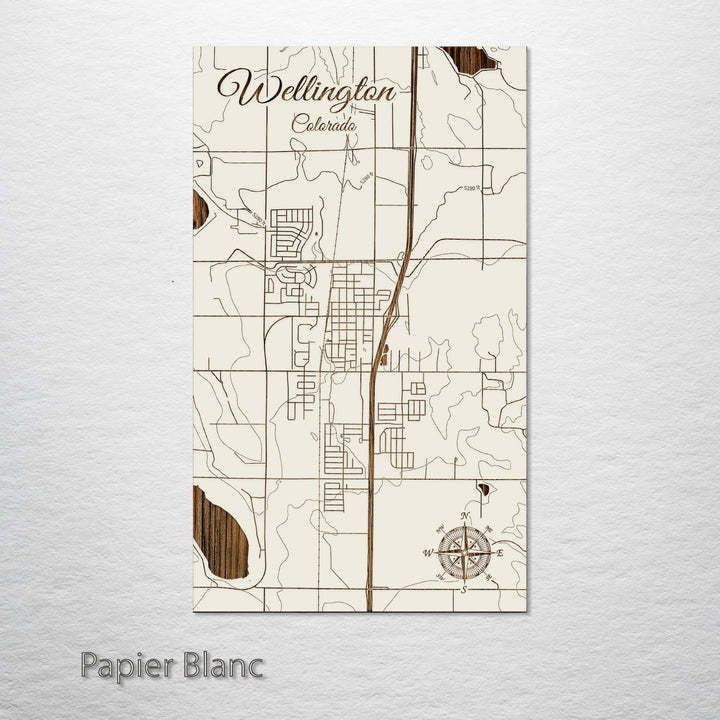 Wellington, Colorado Street Map