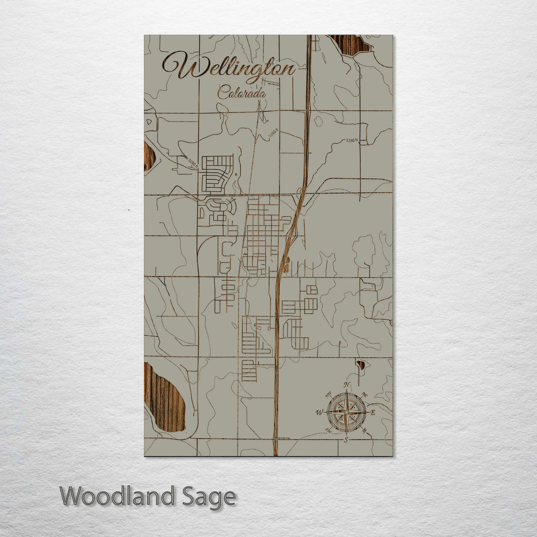 Wellington, Colorado Street Map