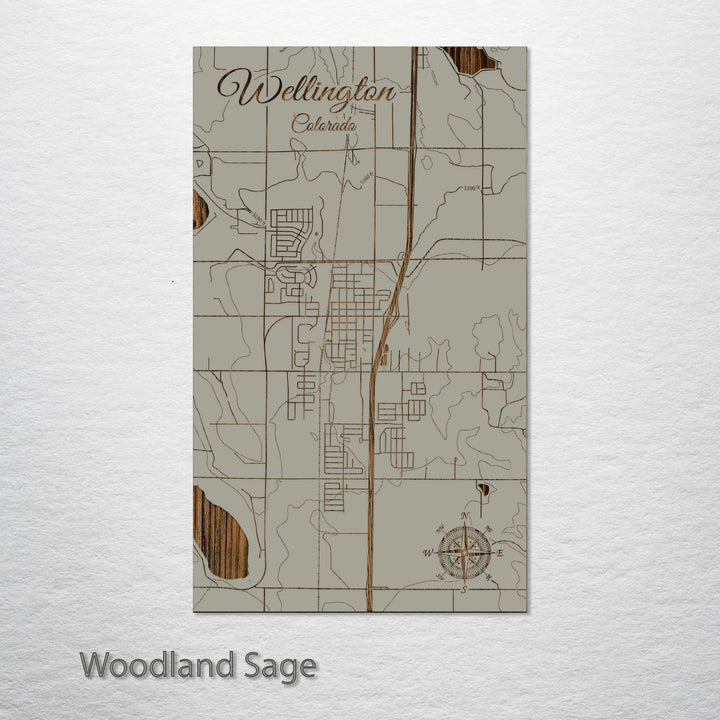 Wellington, Colorado Street Map