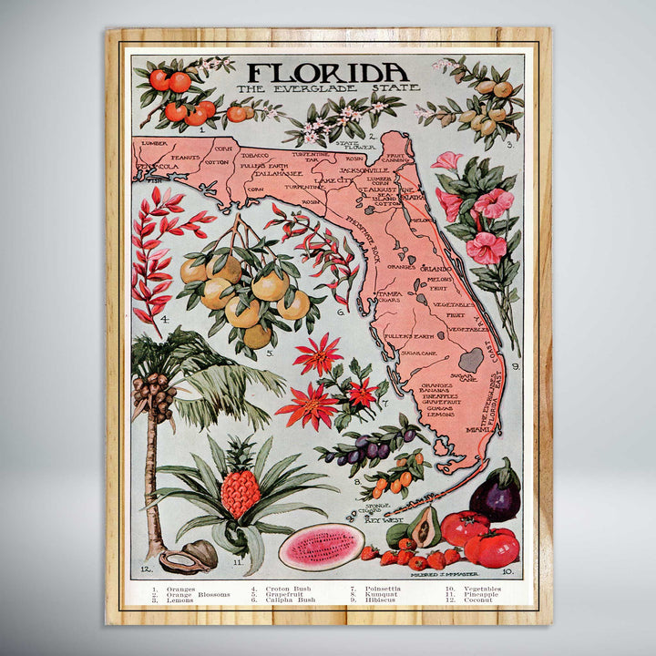 Florida Travel Poster