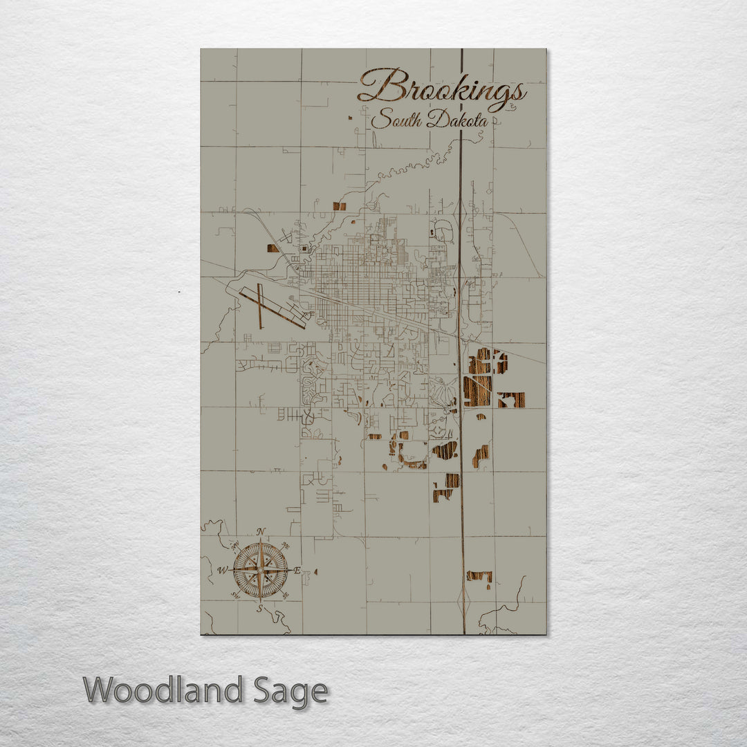 Brookings, South Dakota Street Map