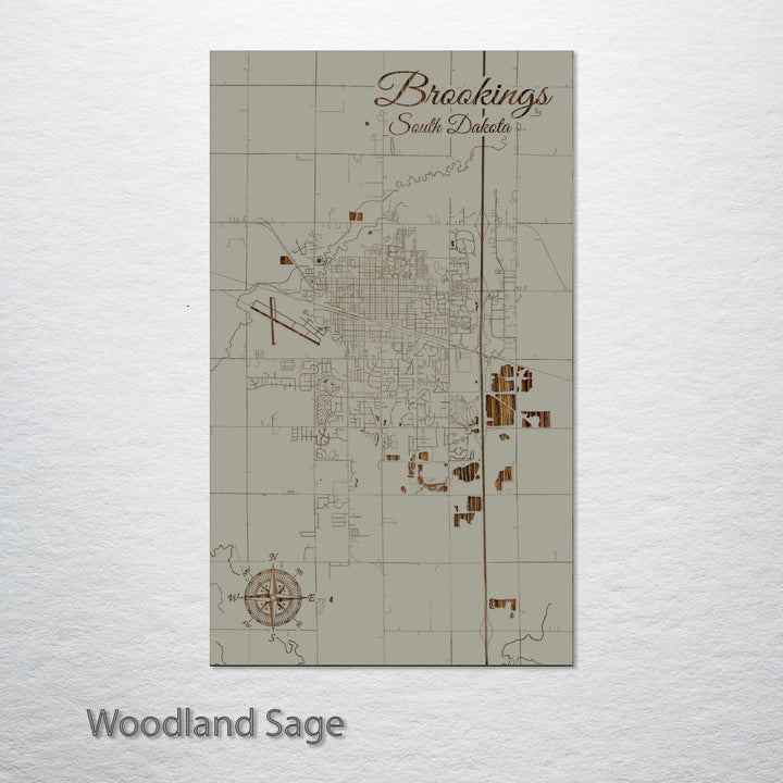 Brookings, South Dakota Street Map