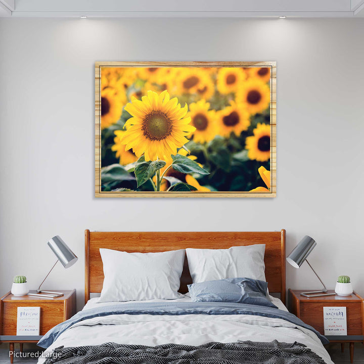 Sunflowers