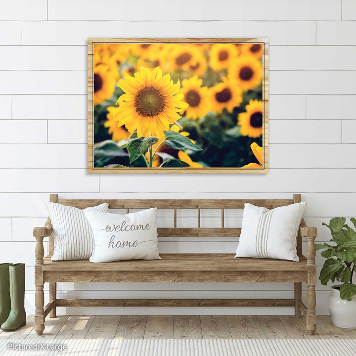 Sunflowers