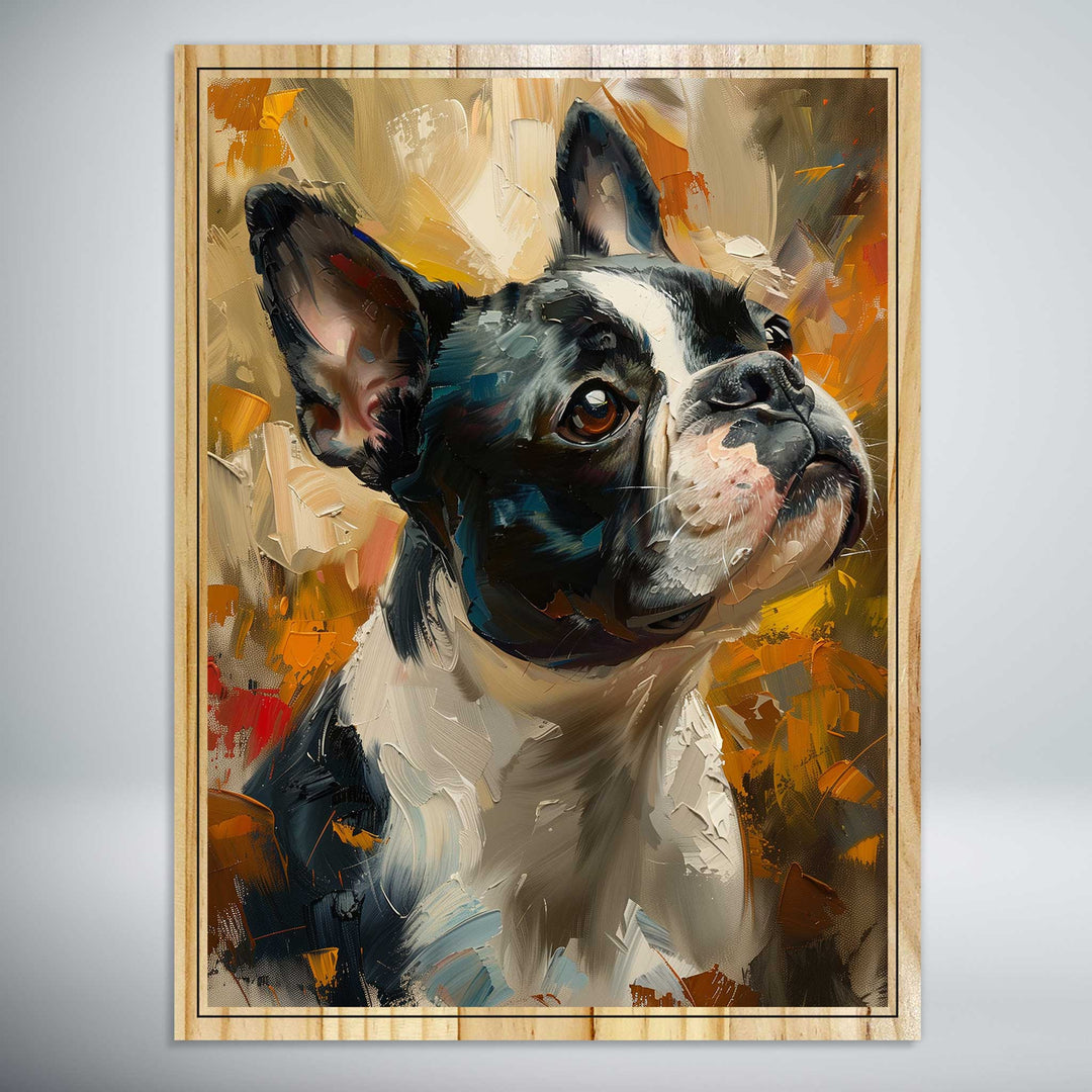 Olive the Boston Terrier