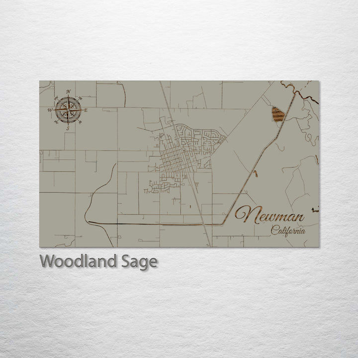 Newman, California Street Map