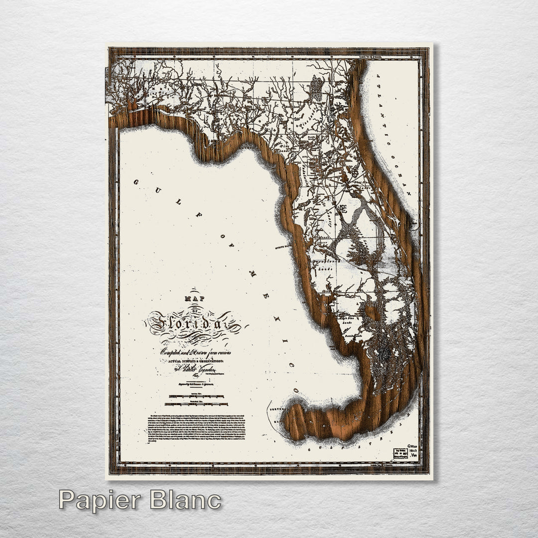 Historic Map of Florida 1823 - Fire & Pine