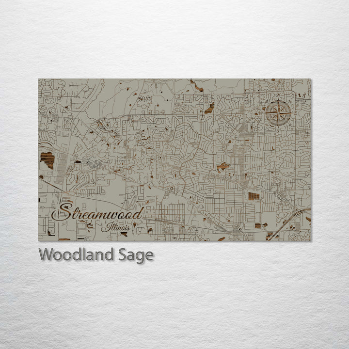 Streamwood, Illinois Street Map