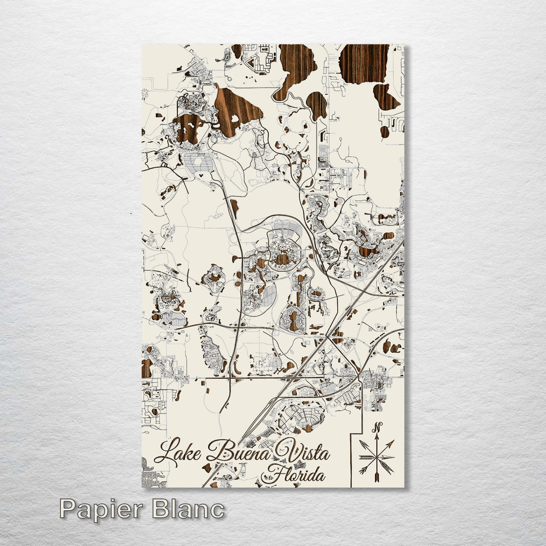 Lake Buena Vista, Florida Street Map - Fire & Pine