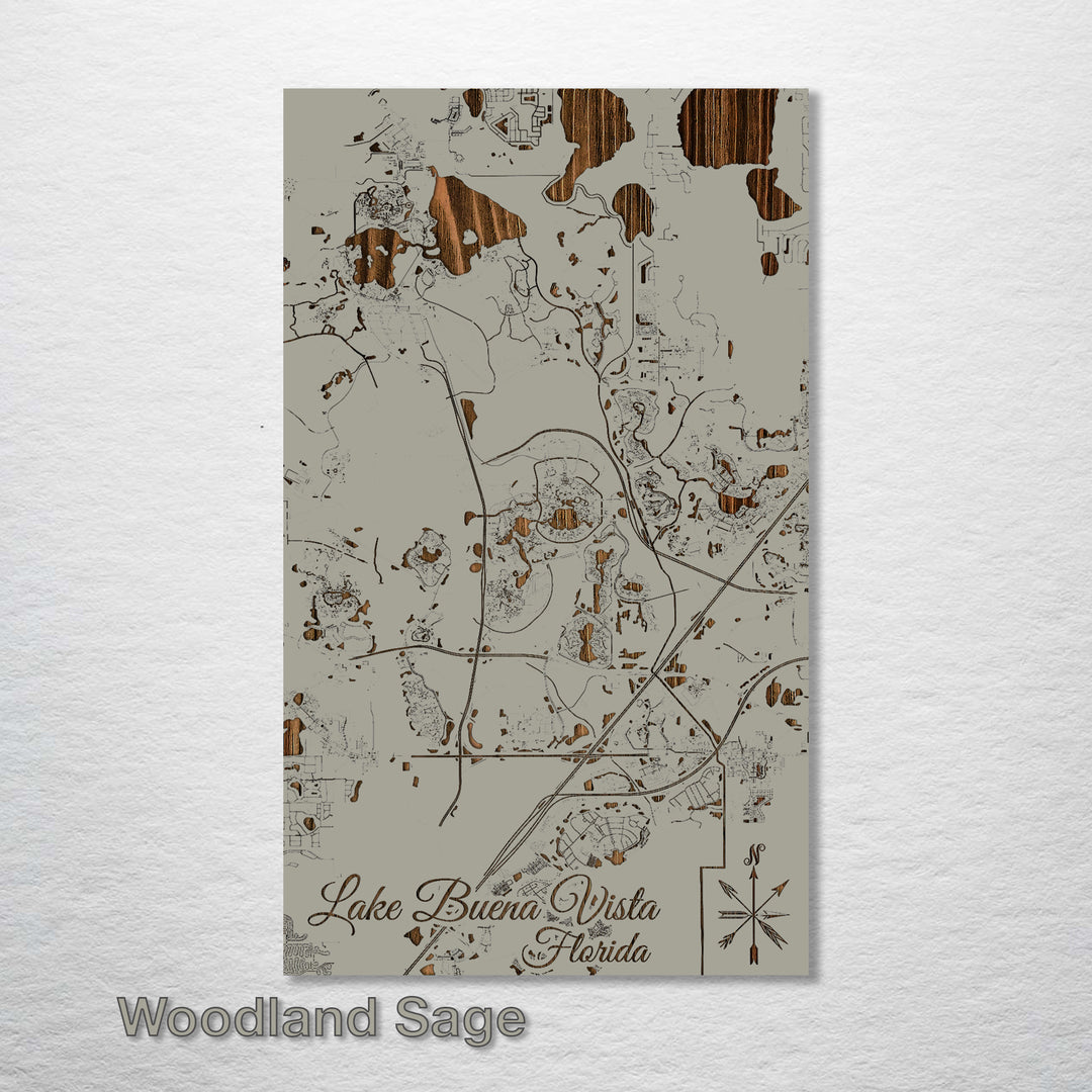 Lake Buena Vista, Florida Street Map - Fire & Pine