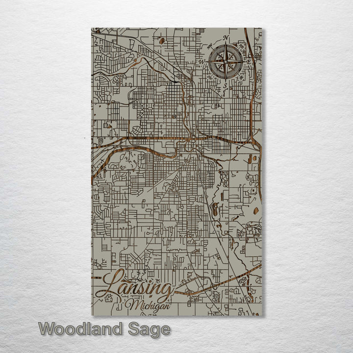 Lansing, Michigan Street Map - Fire & Pine