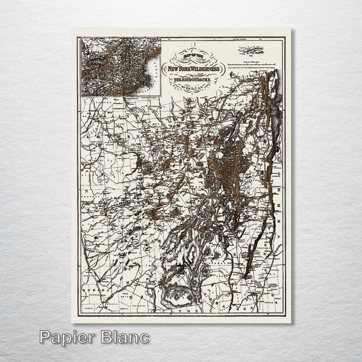 New York Wilderness and the Adirondacks 1879 Map - Fire & Pine